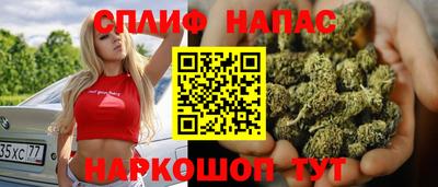 ешки Славгород
