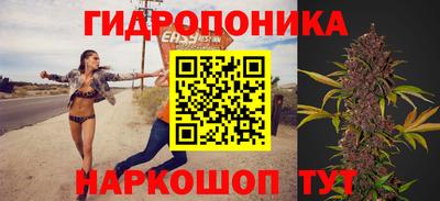 прущие крисы Сланцы