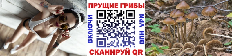 Псилоцибиновые грибы мухоморы  магазин    Сердобск 