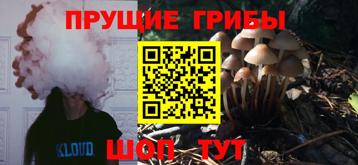 купить наркоту  Псилоцибиновые грибы Psilocybe  Вход с VPN  Сердобск 